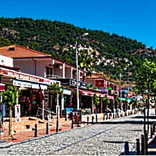Sarigerme